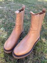 NEW GOLD AND DREAMS - CAMEL