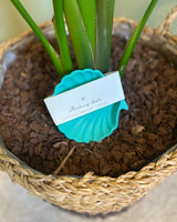 musling form - Grøn